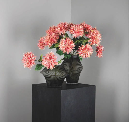 Dahlia Flower pink