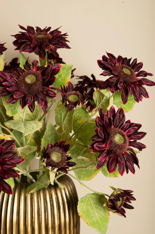 Sunflower Burgundy