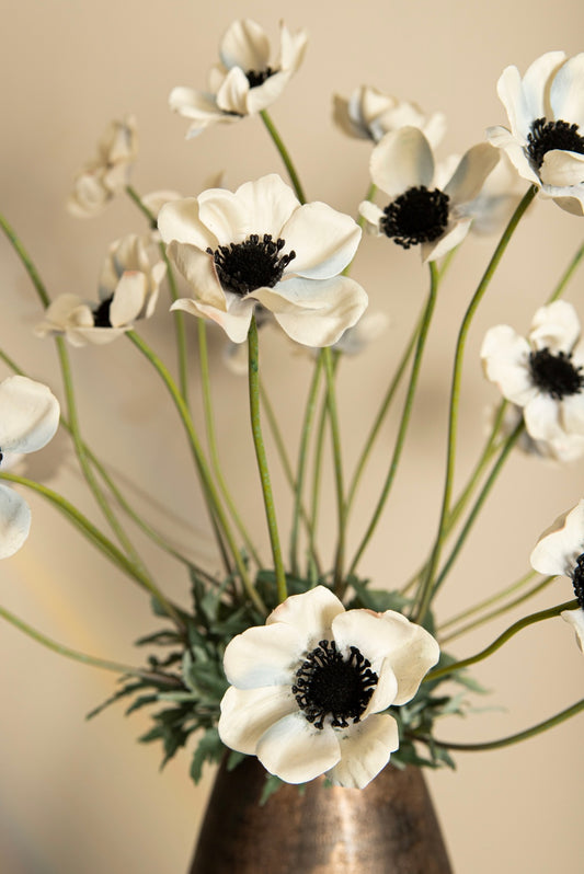 Flower White Anemone