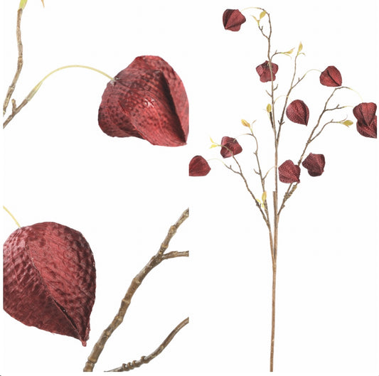 Burgundy Red Lantern Flower