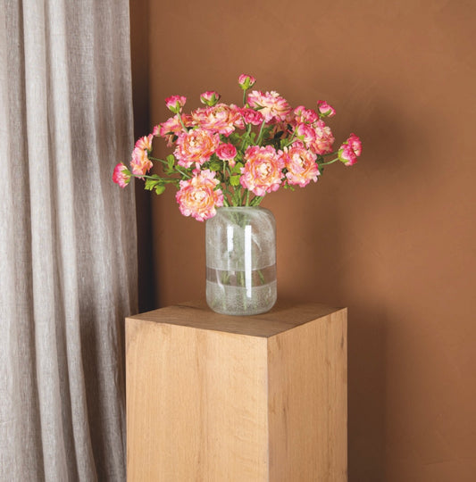 Flower Ranunculus Pink