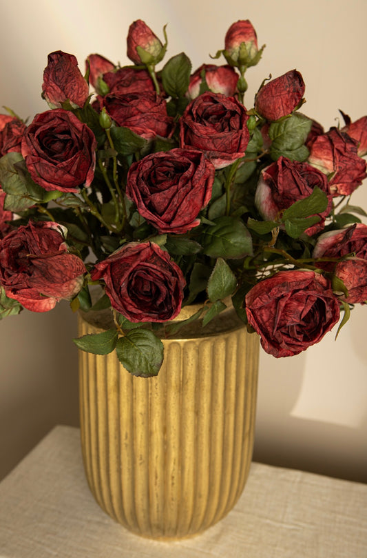 Flower Red Rose