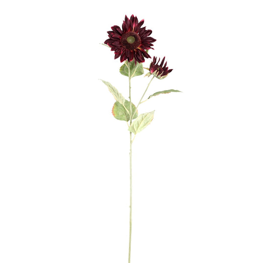 Sunflower Burgundy