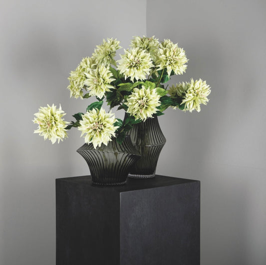 Dahlia Flower green