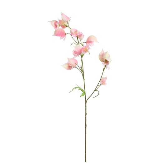 Flower Aconitum Pink
