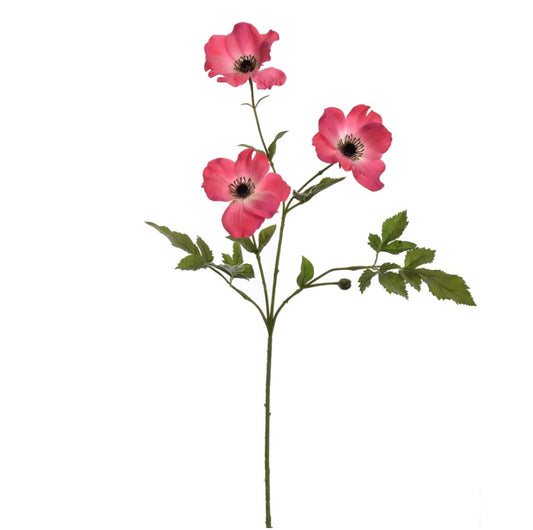 Flower Anemone Pink
