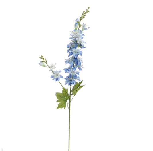 Flower Delphinium Blue