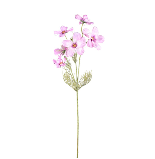 Flower Cosmos Light Pink