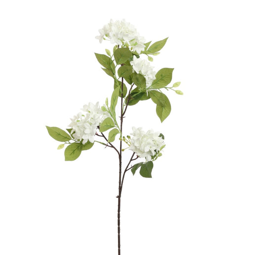 Flower Lilac Branche Crème