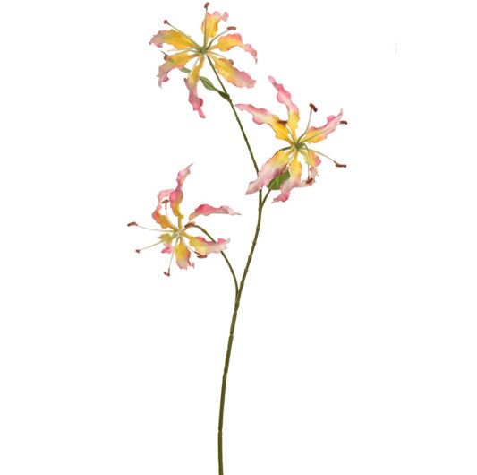 Flower Gloriosa Pink